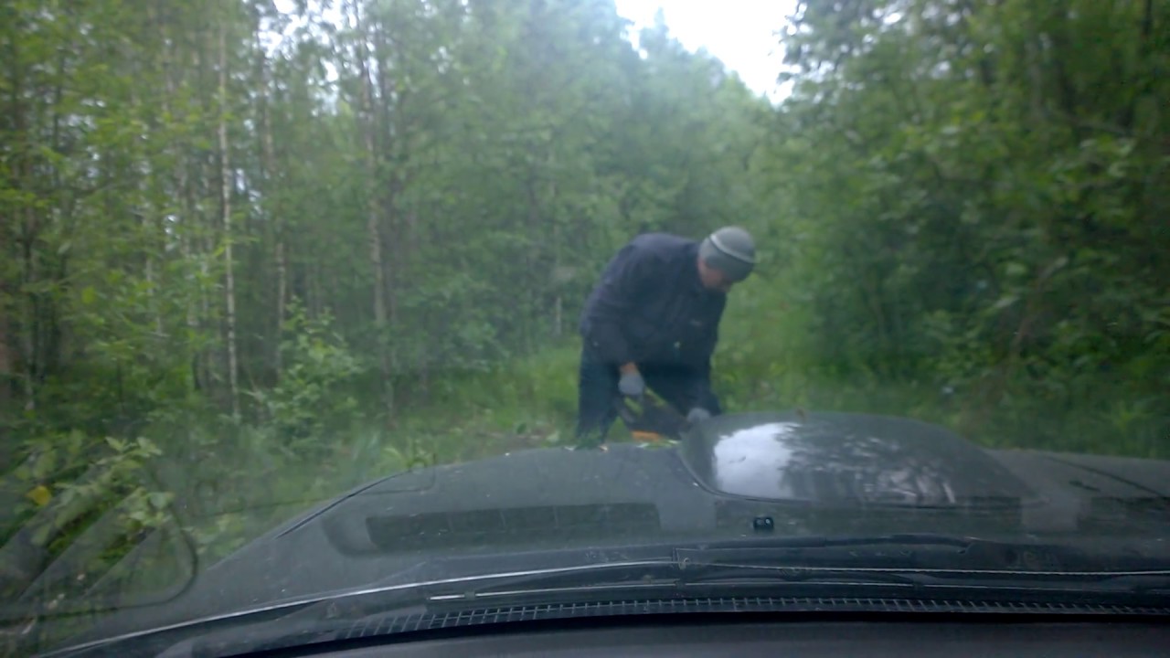 Wp 20160630 008 Youtube