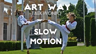 Taekwondo Art Way/Kiev/VDNH/Beauty of Taekwondo