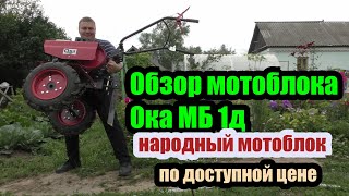 Обзор мотоблока Ока МБ 1д + тест по целине