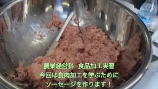 食品加工実習  ソーセージ作り  新潟農業・バイオ専門学校