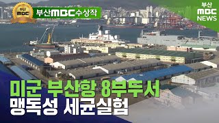 미군 부산항 8부두서 맹독성 세균실험 | 2020년