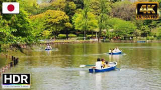 Walking Tour- Chiba Park- Enjoy the bright and calm autumn sunshine-city walk-japan[ 4K HD ]