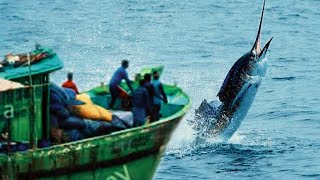 கடல் எங்கள் சொத்து! The Sea Is Our Property by FisherMan | Fishing Trip In Boat At Bay Of Bengal