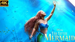 The Little Mermaid  Full English Movie 2023| Halle Bailey | Javier | Review And Facts|English Movie