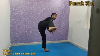 #PencakSilat# Tunggal Tutorial 1 to 4 Jurus# Pencak Silat