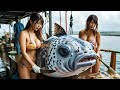 Puffer fish, the most poisonous fish in the ocean - How Japanese Fishermen Risk It All for Fugu