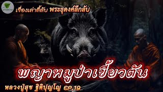 EP.19 เรื่องเล่าลี้ลับ พระธุดงค์ลึกลับ หลวงปู่สุข ตอน พญาหมูป่าเขี้ยวตัน #ธรรมะ #เรื่องเล่า