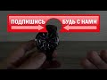 Обзор casio edifice efv 570l 2av Где купить со скидкой