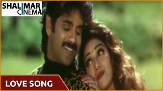 Love Song Of The Day 244 || Telugu Movies Love Video Songs || Shalimarcinema || Shlimarcinema