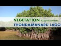 thondamanaru lagoon an ecological study iucn mff 138