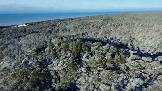 Pūsēnu kāpa. Drone footage. Winter time drone flying. Biggest dune.