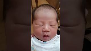 [소망백과]잠자는데 깨워서 억울한 신생아👶 (생후8일)Newborn Baby