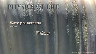 Introduction to Physics of Life: Wave phenomena