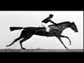 Experimento 'El caballo en movimiento' de Eadweard Muybridge