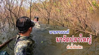 พาพรานนนท์มาดูปลาใหญ่ ดำน้ำยิงปลากับพรานนนท์