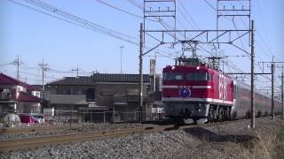 EF81-95代走 8010レ カシオペア