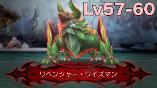 【グリムエコーズ】ソウルボス「リベンジャー・ワイズマンLv57-60」