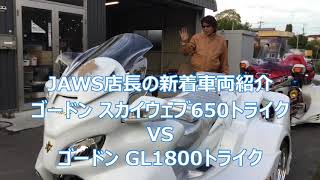 ゴードン スカイウェブ650トライク VS ゴードン GL1800トライク【JAWS店長の新着車両紹介】