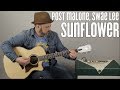 Post Malone "Sunflower" - Super Easy Acoustic Song
