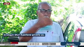 കണ്ണൂർ ചപ്പാരപ്പടവ് ടൗണിൽ ജനങ്ങളുടെ ജീവന് ഭീഷണിയായ ഉണങ്ങിയ മരം