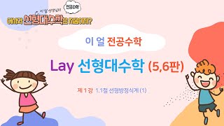 [이얼 전공수학] Lay 선형대수학 제1강 -1.1절 선형방정식계 (1)-