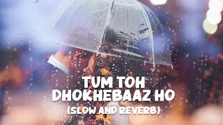 Tum To Dhokhebaaz Ho - Lofi (Slow and Reverb) - Saajan Chale Sasural | Romantic Song | NestMusicZ