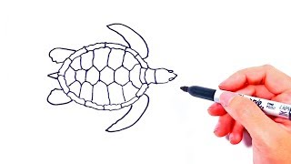 How to draw a Sea Turtle | Animal Drawing for Kids