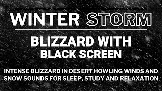 Intense Blizzard in Desert | Howling Winds and Snow Sounds for Sleep, Study and Relaxation