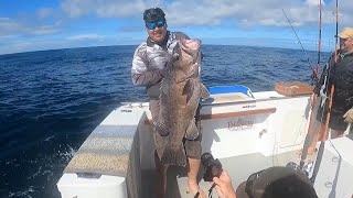 Jigging for BIG FISH (Three Kings Fishing NZ)