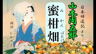 朗読　山本周五郎　日本婦道記より【蜜柑畑】☆彡人間は信じ合わなければならない。「人を信じる」それがあらゆることの始まりである・・・・☆彡ひかりこ朗読劇場