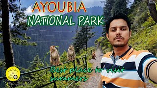 AYUBIA NATIONAL PARK | GALYAAT PAKISTAN