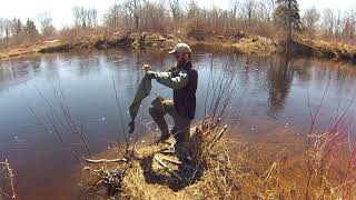 Spring Beaver Trapping Foothold Set with TS-85