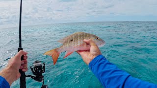 4 Hours of RAW and UNCUT Florida Keys Reef Fishing for Mutton Snapper