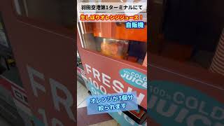 なましぼりオレンジジュースの自販機！美味しいに決まってる！【羽田空港】#shorts