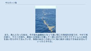 サルガッソ海