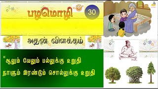 பயன்தரும் பழமொழி அதன் விளக்கம் - ProVerb 30 || ThagavalThuli..