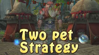 Wise Mari (Celestial Tournament) Two Pet Strategy Guide