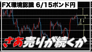 【FXポンド円トレード予想】6/15押し目の深い押しになるか売りが続くのか(環境認識,為替,投資)