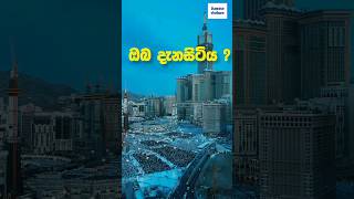 ඔබ දන්නවා ද ස්ථිර ගංගාවක් නොමැති ලොව විශාලතම රටයි #river #information #sinhala