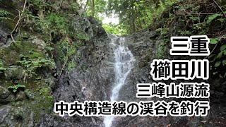 三重櫛田川渓流釣り（三峰山源流、中央構造線の北側の渓谷でアマゴが釣れた）