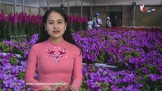 Thời sự truyền hình Nghệ An - 02/01/2019