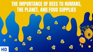 The Importance of Bees To Humans, The Planet And Food Supplies
