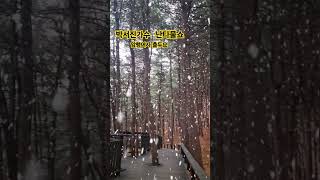 #박서진가수 #현역가왕2#물쑈 암행어사. 👍 👍 👍