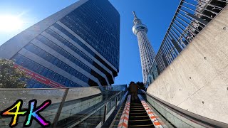 【4K】Winter walk around Tokyo Skytree (東京スカイツリー)