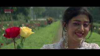 কথা শোনে না বাধা মানে না কেন মনটা