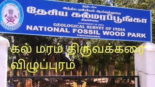 Villupuram Thiruvakarai Fossil Wood Park | கல் மரம்  பூங்கா திருவக்கரை விழுப்புரம்