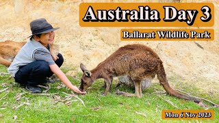 Australia Day3 2023 - Ballarat Wildlife Park (ปุ๊กแป๋งเที่ยวต่างแดน)