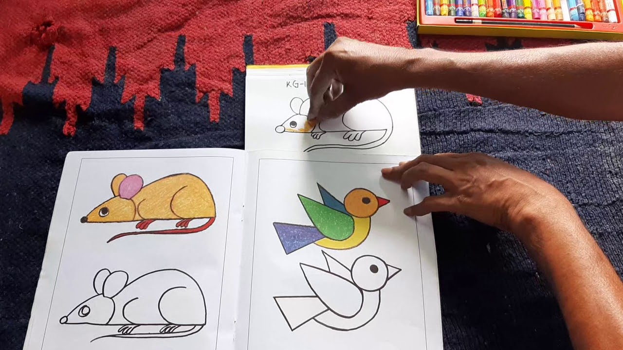 Drawing Images For Kg Class At Grady Naylor Blog