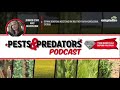 pests u0026 predators ep 1 do you know your field heroes