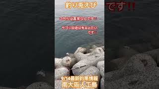 南大阪人工島最新釣果情報　#釣り兎えび  #ショアジギング  #青物  #貝塚人工島